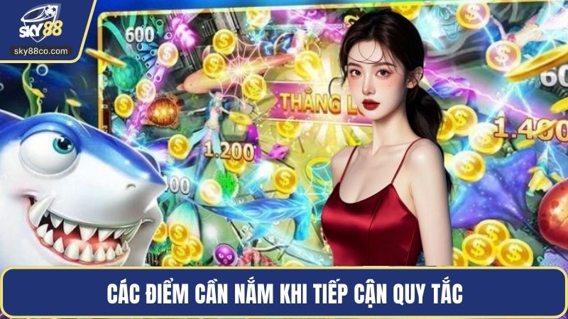 Các điểm cần nắm khi tiếp cận quy tắc