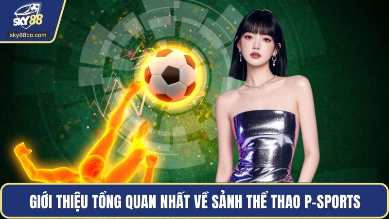 Giới thiệu tổng quan nhất về sảnh thể thao P-SPORTS